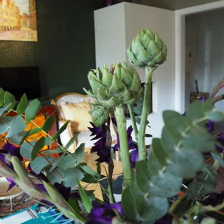 Golden Treasure Deluxe Munster (North Rhine-Westphalia)