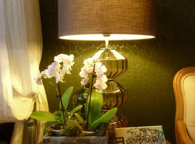 Golden Treasure Deluxe